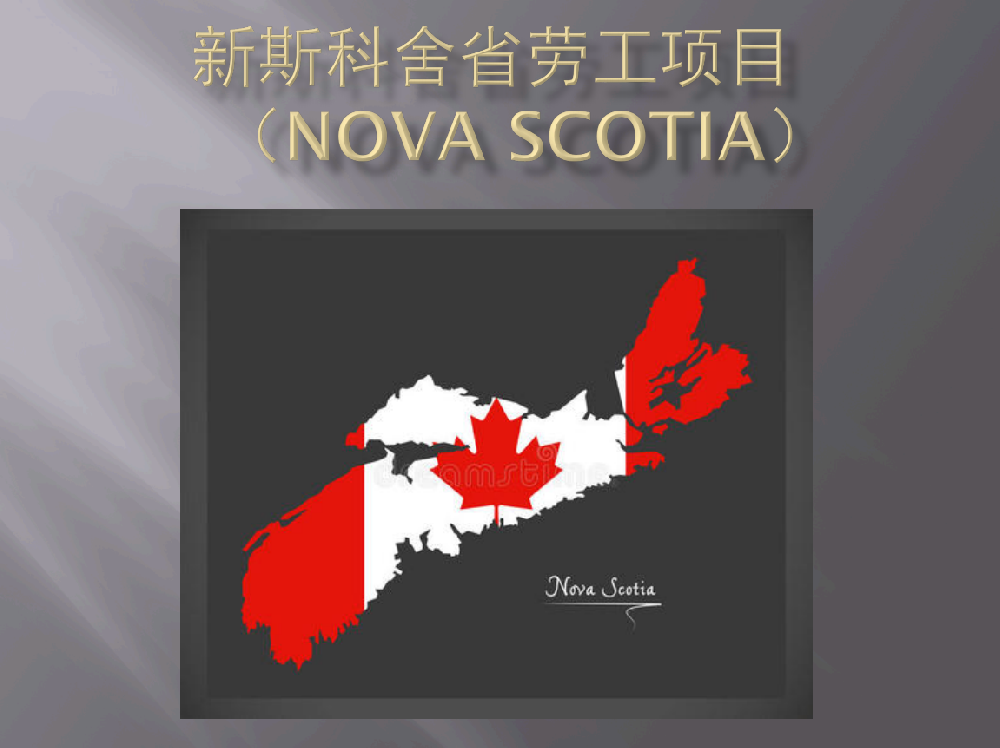 新斯科舍省勞工項目